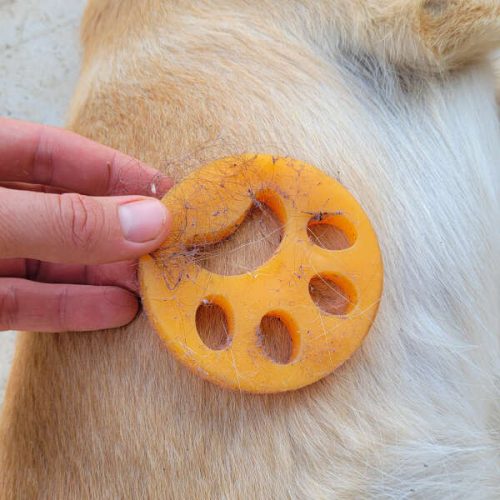 Furgetty 4 db-os állatszőr eltávolító készlet