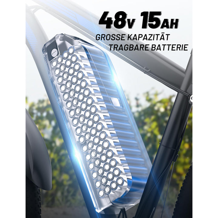 Duotts C29 Pro E-bike Mountain Electric Cycle Bicycle Dirt City E Bike Ebike Bici Elettrica Bicicleta Electrica Velo Electrique