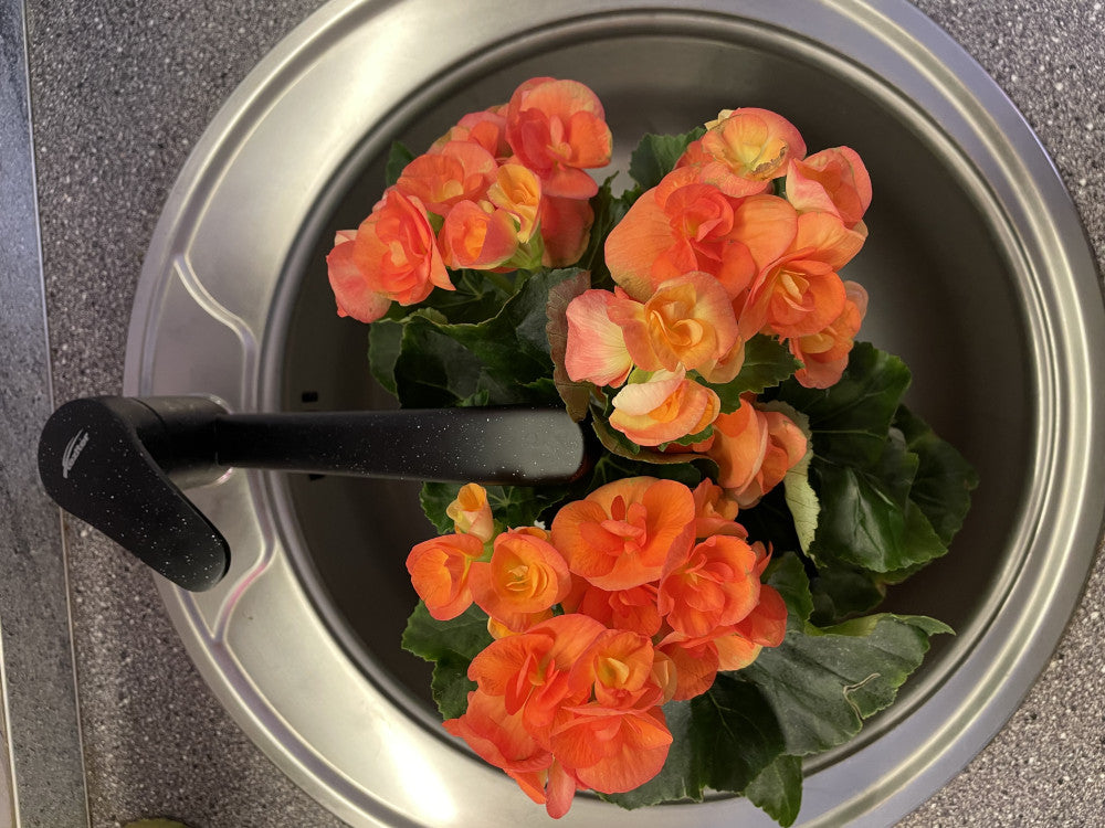 Orla mosogató csaptelep fekete